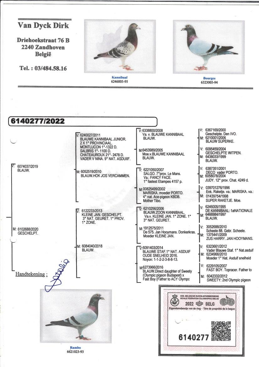 European Pigeon site